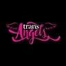 TransAngels logo